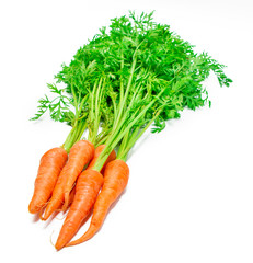 fresh carrots isolated on a white background. Bunch of baby carrots isolated on white background.
