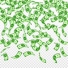 Fototapeta premium American dollar notes falling. Floating USD bills 