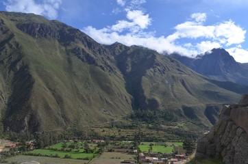 南米　自然　風景　森