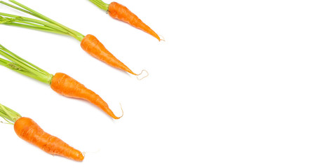 fresh carrots isolated on a white background. Bunch of baby carrots isolated on white background.