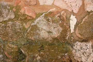 MOSS ON THE STONE TEXTURE