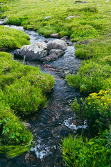 Fototapeta na wymiar Mountain stream in green valley. Rocks and stones in swirling riverbed. Watering in pasture