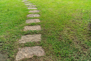 Brown stone pathway cross green lawn