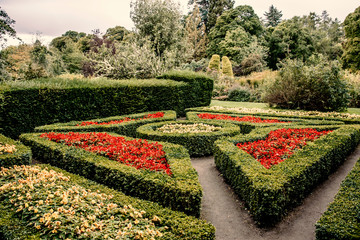Parkanlage des Cawdor Castle mit roten Blumen, Schottland
