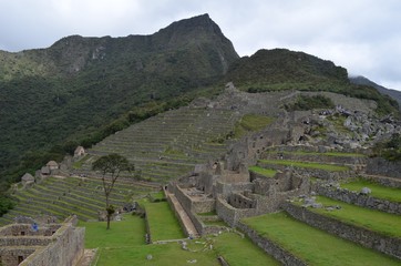 南米　遺跡
