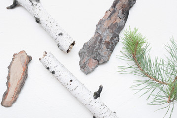 Dried birch branches, pine bark and pine branch on white asbtract background.
