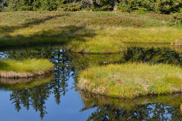 Hochmoor auf der Rossbrandhöhe in Österreich	