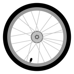 Vector, colored illustration of bicycle wheel