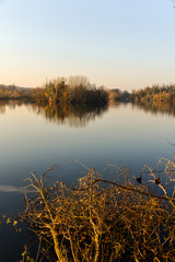 Lacs de Viry Chatillon et Grigny, Lacs revivifiés et sites naturels protégés, 91