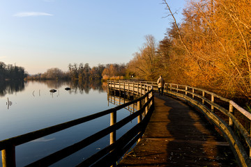 Obraz premium Lacs de Viry Chatillon et Grigny, Lacs revivifiés et sites naturels protégés, 91