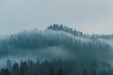 Photo sur Plexiglas Forêt dans le brouillard brouillard sur la forêt de conifères, silhouettes d& 39 arbres à flanc de colline, brume mystique