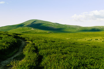Obraz premium Gentle green hills. Pasture for animals with fresh green grass in sunny valley