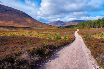 Narrow dirt road running through the Cairngorms National Park , Scotland, UK