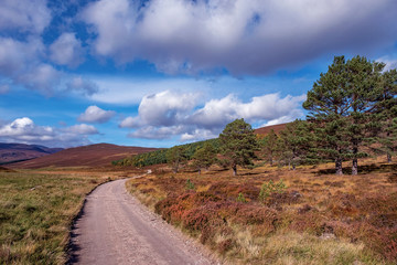 Fototapeta na wymiar Narrow dirt road running through the Cairngorms National Park , Scotland, UK
