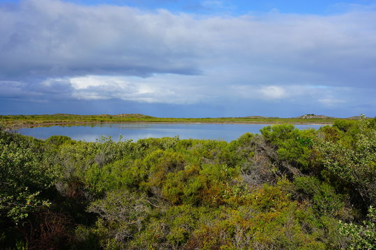 View of Lake Thetis in Nambung National Park, a saline coastal lake with stromatolites in Cervantes, Western Australia