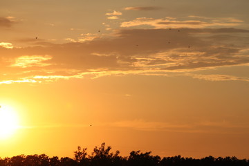 beautiful sunset sky with clouds background texture