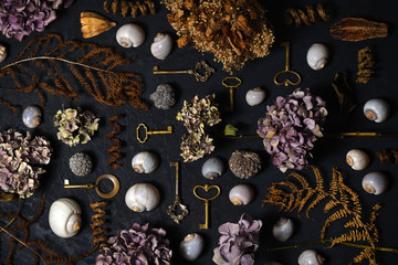 Arrangement of vintage keys, dried flowers and plants, shells