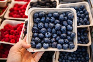 Ripe and juicy blueberries are seen in a carton as a person buys organic fruit from a stall during a local fair with colorful berries