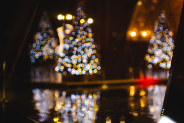 Bokeh & Sapins de Noël