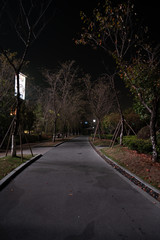 path through park during night time