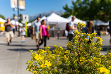 A shallow depth of field captures blurry people shopping during a local fair for art and food, white awnings are seen in background with copy space - obrazy, fototapety, plakaty