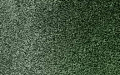 Leather. Green. Gradient. The structure of the skin material close-up.