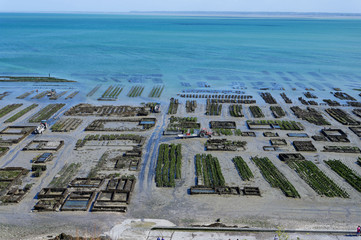 Fototapeta premium Parcs à huitres, Cancale, Ile-et-Vilaine, Bretagne, France