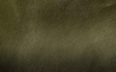 Leather. Green. Gradient. The structure of the skin material close-up.