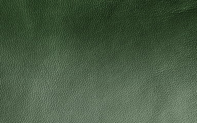 Leather. Green. Gradient. The structure of the skin material close-up.