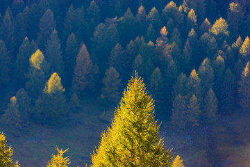 Fototapeta na wymiar The colors of autumn in the Dolomites