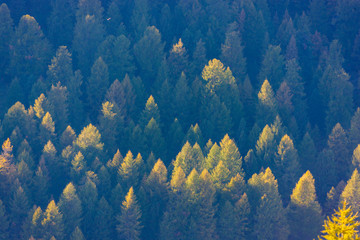 Fototapeta na wymiar The colors of autumn in the Dolomites
