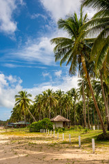 Obraz na płótnie Canvas Tropical sandy beach in El Nido Philippines. Palawan Island in Southeast Asia
