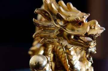 golden dragon on a background
