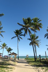 playa verano paraiso tropical