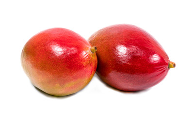 Two mango on white background. Studio