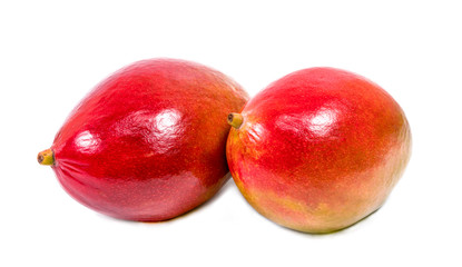 Two mango on white background. Studio