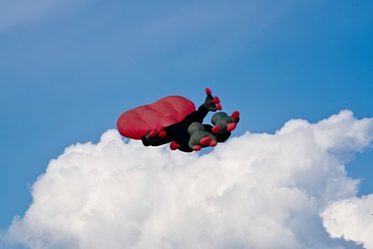 cerfs volants 2019