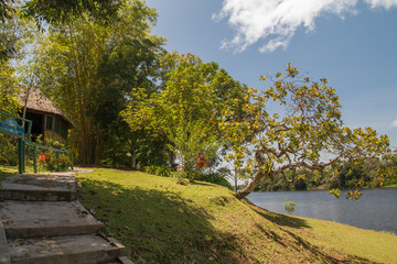View of the parana do mamori river at the dolphin lodge, Brazil, South America