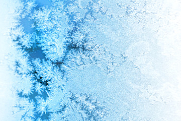 Ice flowers frozen blue window