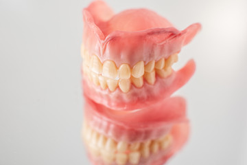 Close-up studio shot of artificial jaw model on a mirror background