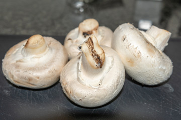 Pilze - Champignons zum verzehr
