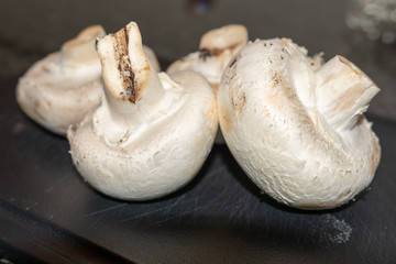 Champignons