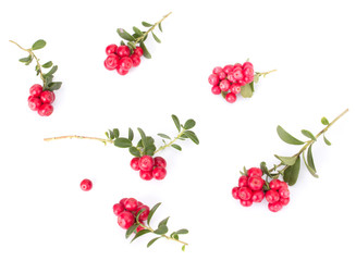 Fresh red berry: hand-picked forest Cowberry isolated on white background, macro shot