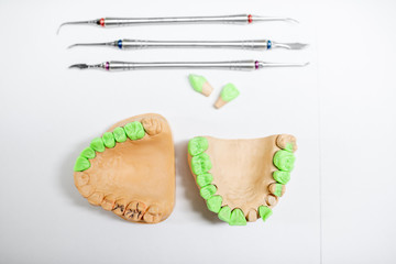 Plaster models of artificial jaw with teeth painted in green and dental tools on the white background. Concept of aesthetic dentistry and implantation