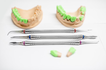Plaster models of artificial jaw with teeth painted in green and dental tools on the white...