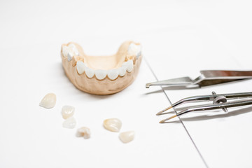 Fototapeta na wymiar Artificial plaster jaw model with veneers and dental instruments on the white background. Concept of aesthetic dentistry and implantation technology