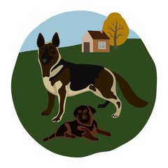 Dog and puppy on white background vector pets