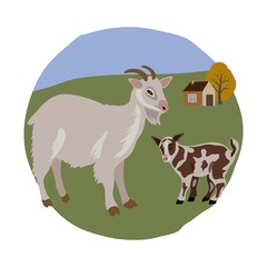 Goat with goat on white background vector pets