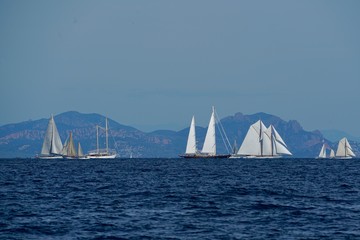 Fototapeta premium Les voiles 2018