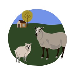 Sheep with lamb on white background vector pets
